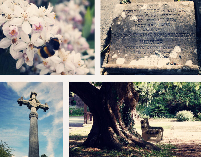 Whittington_Remembers_Photo_Montage_885px