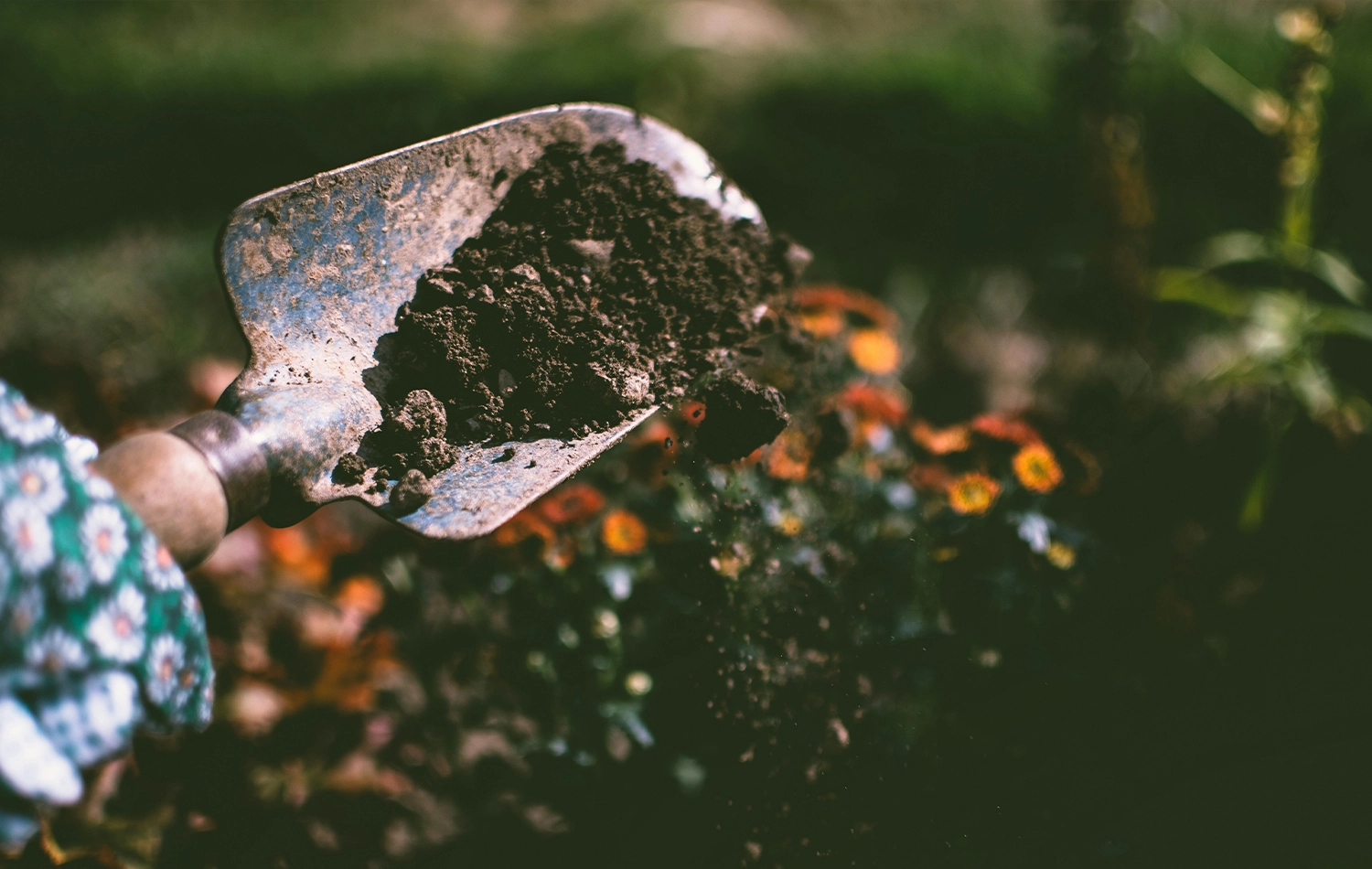 about-page-planting