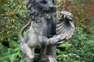 SHC_Image_02
